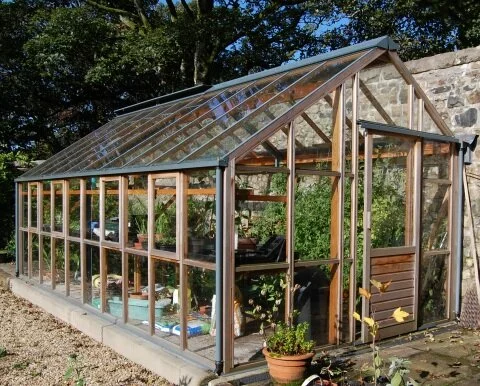 classic-vinehouse-greenhouse